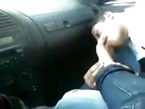 تیره لیزا ارتباطات ن ...