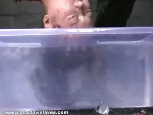 برنامه نویس زیبا و ص ...