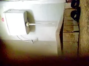 سگ ماده زیبا را دوست ...
