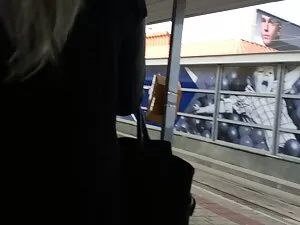 سگ ماده سکس گلشیفته  ...